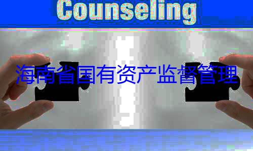 委副书记王理委员会党有福接受审资产监督管海南省国有查调查